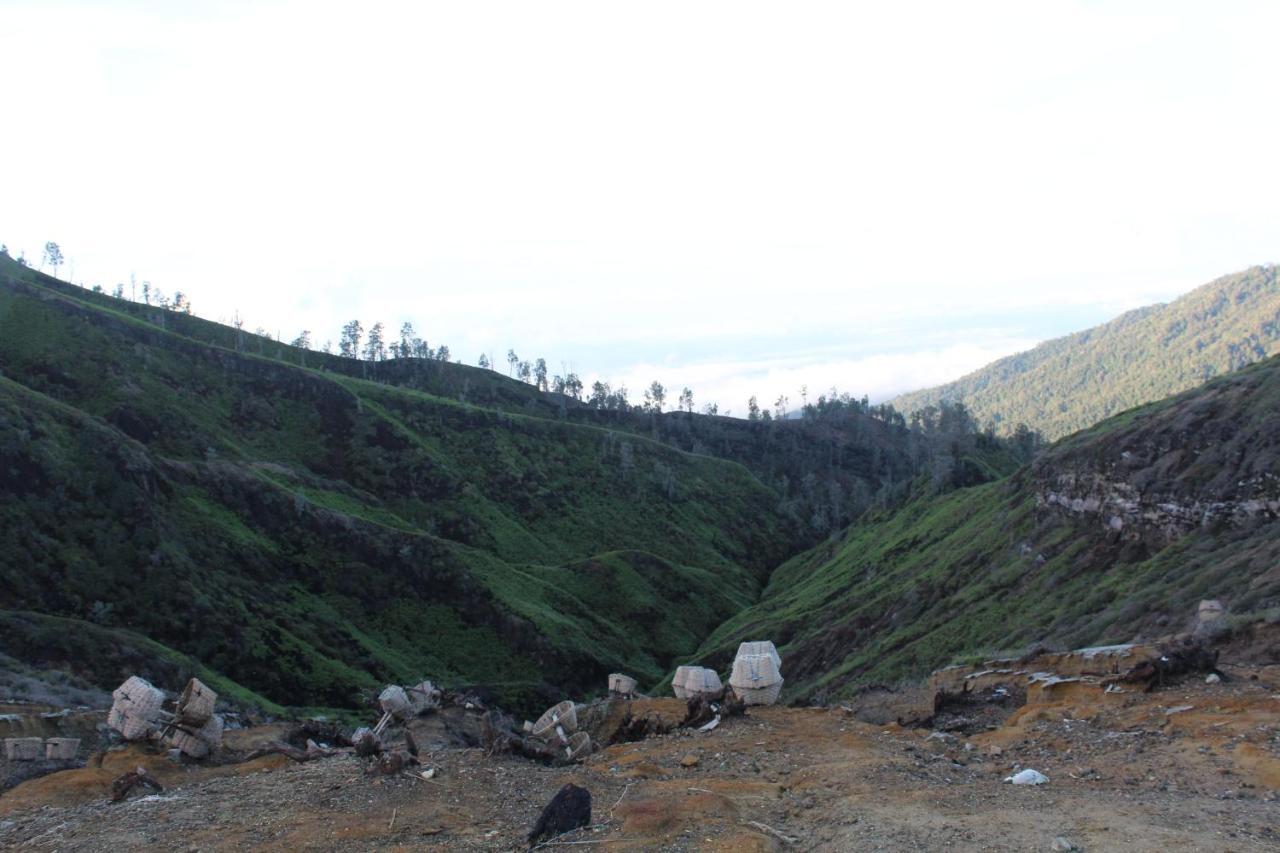 Backpacker Kawah Ijen Hostel Banyuwangi  Kültér fotó