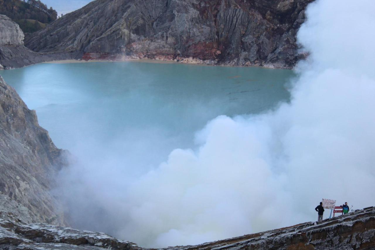 Backpacker Kawah Ijen Hostel Banyuwangi  Kültér fotó