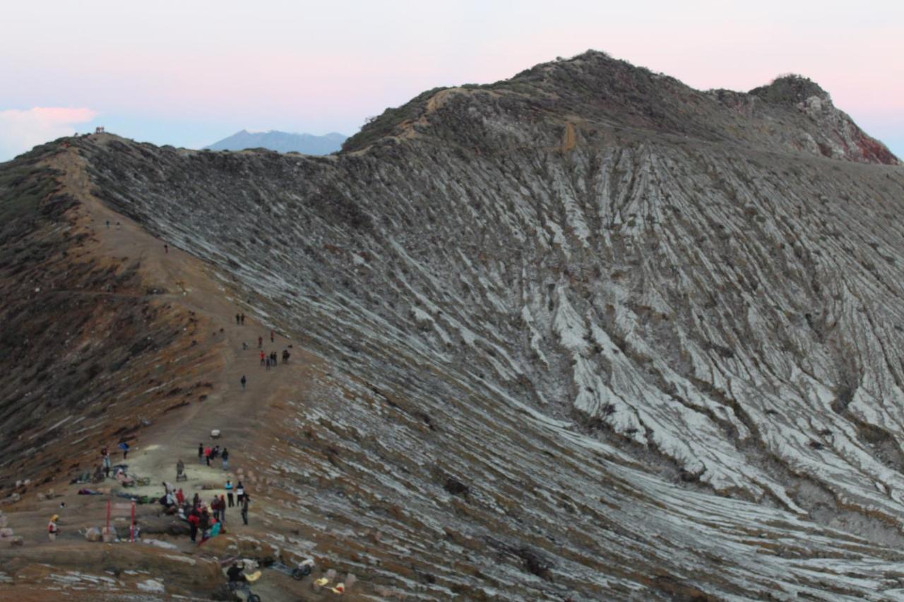 Backpacker Kawah Ijen Hostel Banyuwangi  Kültér fotó