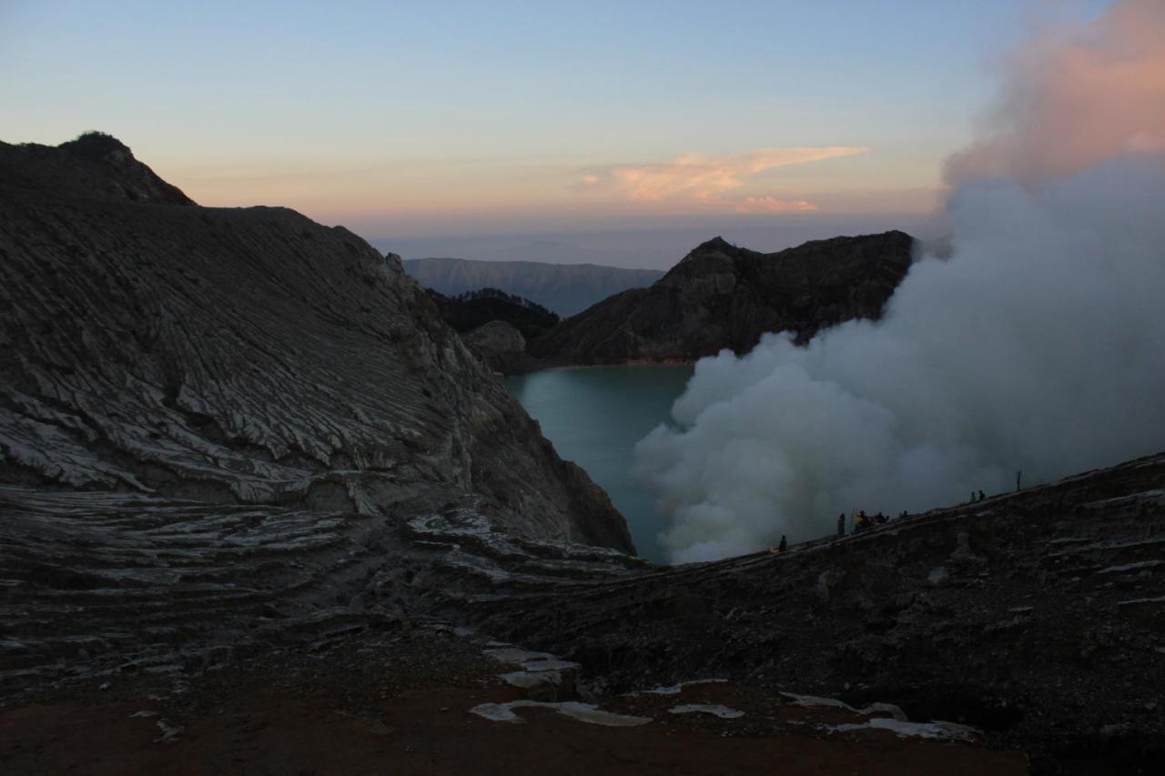 Backpacker Kawah Ijen Hostel Banyuwangi  Kültér fotó
