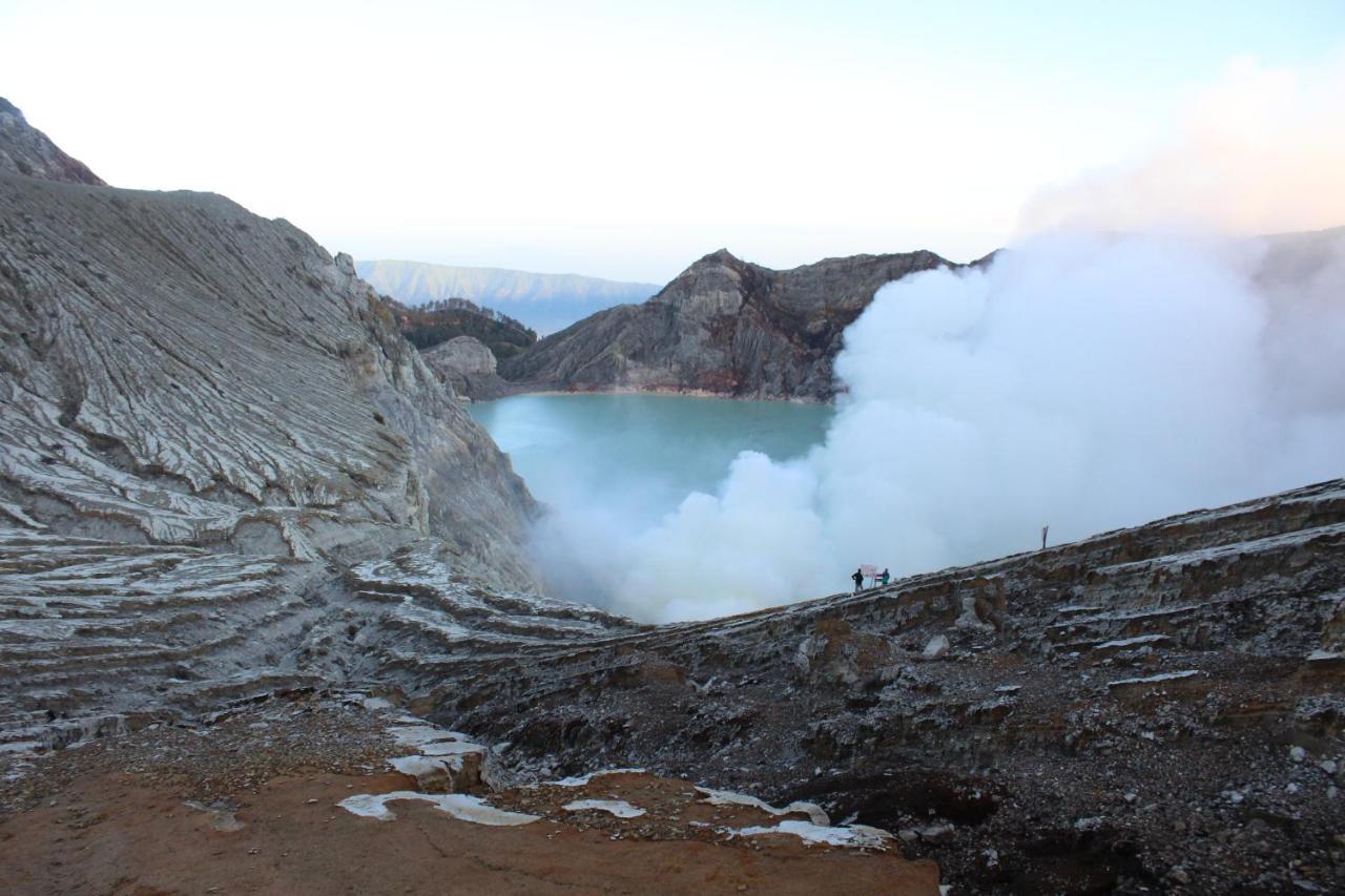 Backpacker Kawah Ijen Hostel Banyuwangi  Kültér fotó
