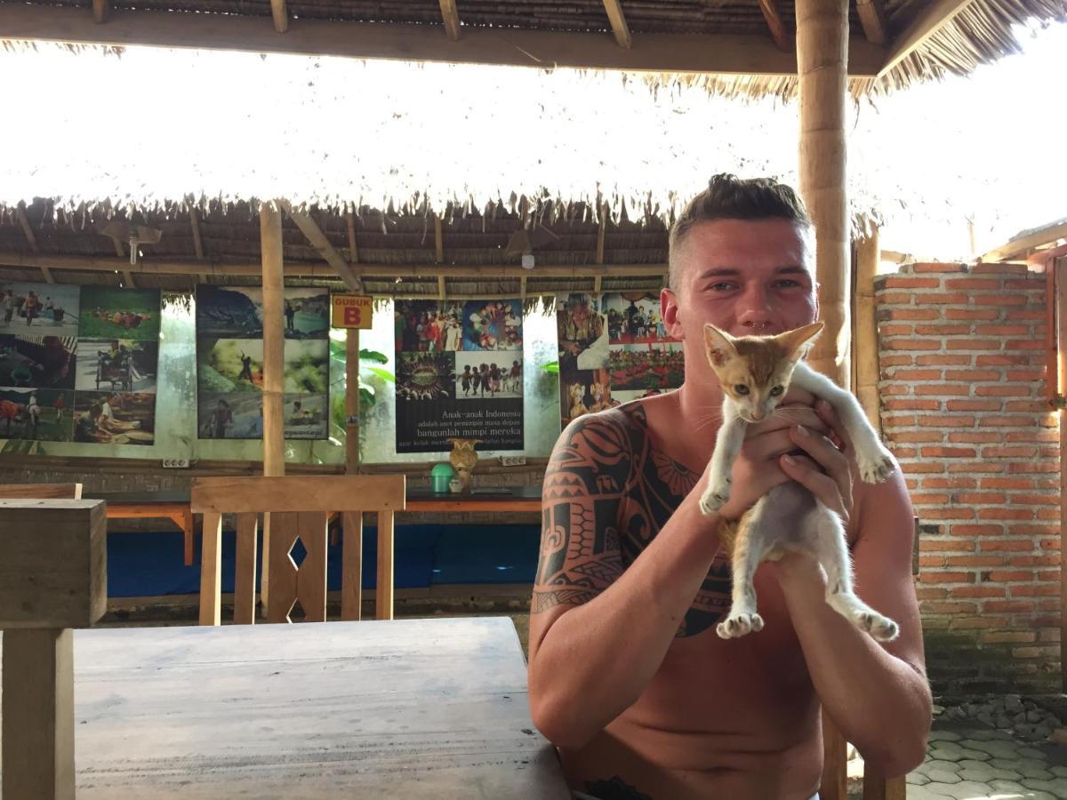 Backpacker Kawah Ijen Hostel Banyuwangi  Kültér fotó